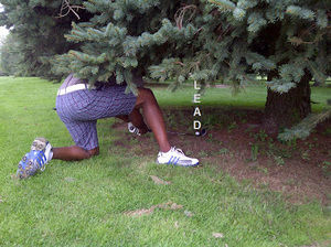 Meet your Posher, Garnett